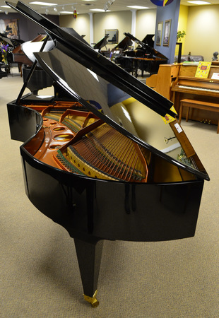 ポーラ マッカードル　Piano 163/350 ポーラ マッカードル Piano 163/350